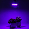 4pc 20w E27 Led Grow Light Plant Lamp Bulb Garden Greenhouse 3
