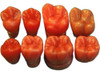 Dientes De Cera Macros 4 X 5 Cm 0