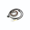 Encendido 18 Bobinas Falcon 400 Magnetron 0