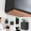 Kazai. Jardineras De Pared -alma- | 3 Macetas Colgantes Mode 2 Kazai. Jardineras De Pared -alma- | 3 Macetas Colgantes Mode 2