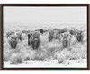Kate Y Laurel Sylvie Rebaño De Vacas De Las Tierras Altas Bw 0
