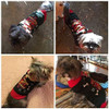 Doggyzstyle Navidad Mascota Ropa De La Chamarra Rayas Muñec 1 Doggyzstyle Navidad Mascota Ropa De La Chamarra Rayas Muñec 1