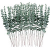 Feqo 36 Piezas Tallos De Eucalipto Artificial Tallos De Hoja 0