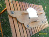 Lindo Antiguo Perchero De Pared C Bolita Con Repisa Y Espejo 2