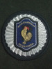 Escudo Institucional Pfa 0