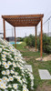 Pergolas Oferta De Verano 3
