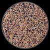 Mistura De Sementes Para Canários E Pintagol - Extra - 500g 1