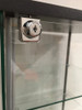 Vitrina Estanteria Vidrio Exhibidor Puerta Llave Ruedas Mod1 7