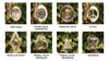 Girador De Viento / Windspinners 12cm Acero Inoxida Chakana 4