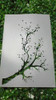 Stencil  Arboles Elegibles  Set 79 Leer Descripcion 2