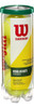 Pelotas De Tenis Wilson Championship Regular Duty 4 Tubos 2