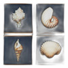 Madison Park, Ocean Seashells Juego De 4 Piezas, Lienzo Enma 2