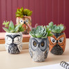 Bright Creations Set De 4 Bricolaje Pinta Tus Propias Maceta 1