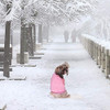 Sueter Para Perros Ropa De Invierno Paquete De 2 - 2 Colore 5 Sueter Para Perros Ropa De Invierno Paquete De 2 - 2 Colore 5