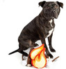 Juguete Para Perros Midlee Campfire 4