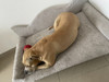 Sillón Cama Cucha Perro Gigante 3