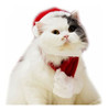 Visky Pet Dog Christmas Costume Perro Santa Hat Con Bufanda 4 Visky Pet Dog Christmas Costume Perro Santa Hat Con Bufanda 4