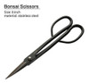 Set De 5 Herramientas Importadas Para Bonsai Vouiu 5