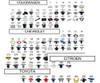 Clips - Clip Baguetas Laterales Y Traseras -patner-x15u. 5 Clips - Clip Baguetas Laterales Y Traseras -patner-x15u. 5