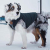 Chaqueta Para Perros Django Puffer Y Abrigo Reversible Para 4