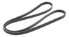 Correa Accesorios Renault 3