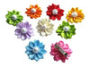 Pet Show Flor Para Mascotas Perro French Barrette Pinzas Par 0