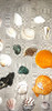 Caracol Marino Lote De 32 Caracoles De Mar, Variados X To2 3