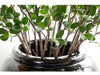 Htmeing Artificial Eucalytus Verde Ramas Sintética Ficus Ram 2