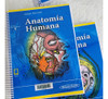 Latarjet 5 Edicion, Anatomia Humana 2