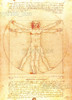 Hermoso Póster Hombre De Vitruvio - Da Vinci - 120x85 Nuevo. 1