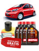 Service Cambio De Aceite Byd F0 Motul 5w40 Sintético Filtros 0