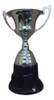 Copa De Chapa 38 Cm Altura. Trofeoshm 0
