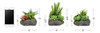 Arreglos De Plantas Suculentas Artificiales De Jardín Puro E 4