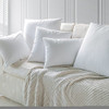 Phantoscopio 4 Paquetes De Poliester Throw Pillow Insert Sh 3