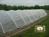 Nylon Agrotileno Ldt Invernadero X 5 Metros. ( Benavidez ) 1