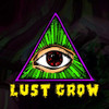 Kit Cultivo Growbag Fibra Coco Tripack Advanced Mad Rocket 4