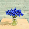 20 Flores Alcatraz Artificiales Mandys De Latex Azul 35cm 2