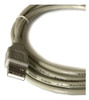 Cable De Audio Usb A/a Audio T/impresora 5 Mts 2