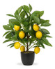 Plantas Artificiales Maceta 15.7 Pulgadas, Árbol Limón Árbol 0
