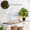 Plantas Artificiales Maceta 15.7 Pulgadas, Árbol Limón Árbol 5