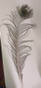 Plumas Pavo Real X13 0