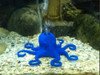 Adorno Acuario Pulpo Con Difusor - Envíos A Todo El País 1