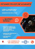 Ruleman Rueda Trasera Skf Ford Falcon Años + 65 2