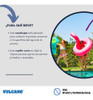 Kit Limpieza Vulcano Super Completo Ideal Pileta Fibra 4
