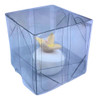 40 Caixa Cubo 5x5x5 Acetato Incolor 5237 0