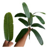 7x Planta De Silicone Realista P/ Vaso Decoração De Realista 4
