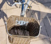 Sujetador Y Canasto Bicicleta Dahon 2