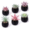 Hawesome Mini Suculentas Artificiales 6 Paquetes De Suculent 0
