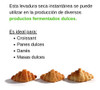 Levadura Seca Instantanea Masa Dulce X  10 Kg 1