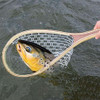 Red Copo De Pesca Con Malla De Goma Suave Para Trucha 6